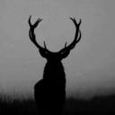 dearestdarklingilisten avatar