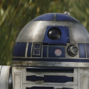 dearstarwarsdiary avatar