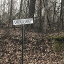 dearyallfrommatt avatar