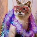 death-and-bagles avatar