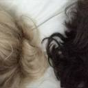 death-and-doctors avatar