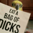 death-beetles avatar