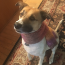 death-havinglost avatar