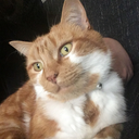 death-is-magic avatar