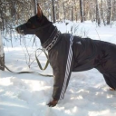 deathactivation avatar