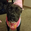 deathbean1995 avatar