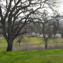 deathbyresponsibility avatar