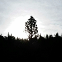 deathbystarlight avatar