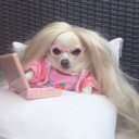 deathdefyinglove avatar