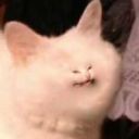 deathequalsdeath avatar