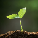 deathgodchild avatar