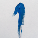 deathinthesea avatar