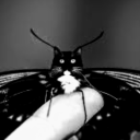 deathinthesun avatar