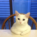 deathisbetter avatar