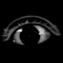 deathisfun472 avatar