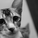 deathlessdivine avatar