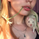 deathlilbaby-blog avatar