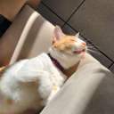 deathly-shipper avatar