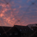 deathlyflcwers avatar