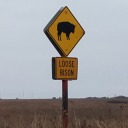 deathoftheamericandream avatar