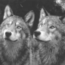 deathwish-h-w avatar