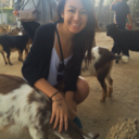 debbiejnguyen avatar