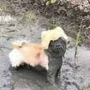 deboranunesss1997 avatar