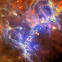 decadence-decay avatar