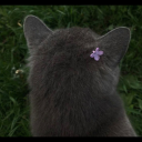 decadent-angel avatar