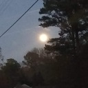 decadentdreamlandjellyfish avatar