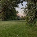 decadentprunegothcolor avatar