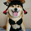 decaffeinatedcashpursezippe-blog avatar