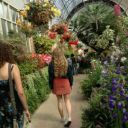 decaffeinatedpatrollawyerbiscuit avatar