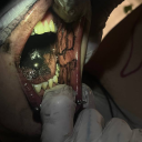 decalcomania333 avatar