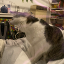 decay-as-a-life-form avatar