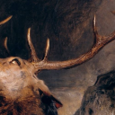 decaying-opossum avatar