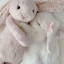 decaying-remains avatar