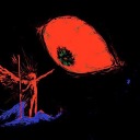 decayingbonestoash avatar