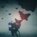 decayingflower avatar