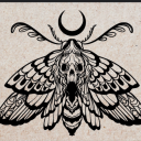 deceasedmoths avatar
