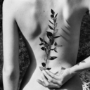 decemberbones avatar