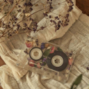 decemberstars88 avatar