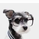 decemeberthirtytwo avatar