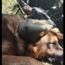 deckard-thepilgrim avatar