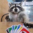 deckofmanymore avatar