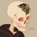 decomposing-nettles avatar