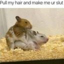 decomposingemotions avatar