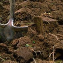 deconstructingsara-blog avatar