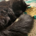 deconstructthesoup avatar