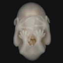 deconsttruct avatar